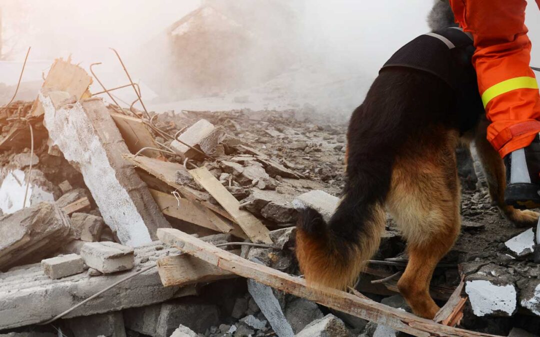 Elementarschäden: Was ist das eigentlich?