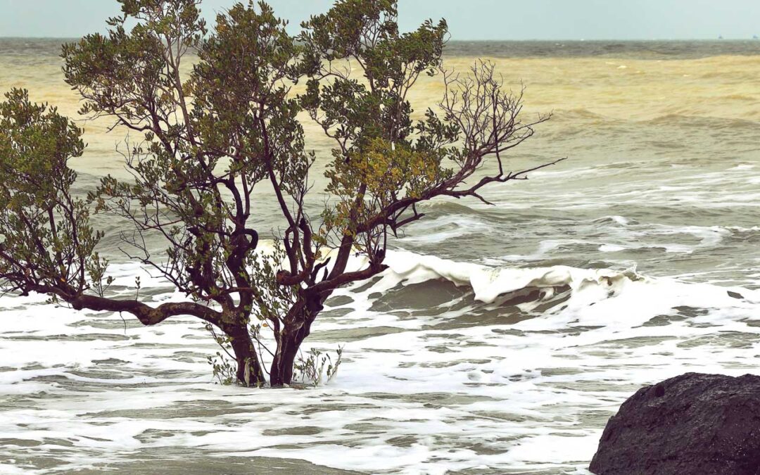 Auf zu neuen Ufern: Der Anstieg des Meeresspiegels