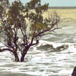 Anstieg des Meeresspiegels