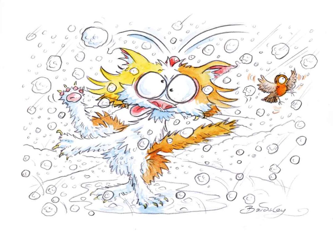 Kater Sebastian im Hagelschauer