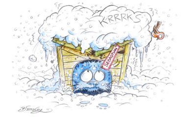 Kater Sebastian unter Schneedruck