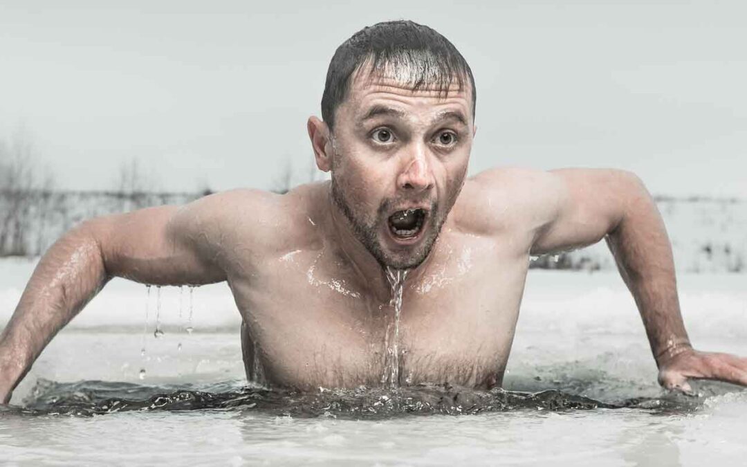 Ohne Frostschäden durch die kalte Jahreszeit